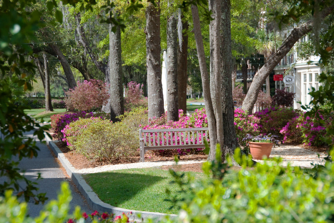 Noah Jigsaw Puzzle Habersham Town Center near Beaufort, South Carolina 2000 pieces