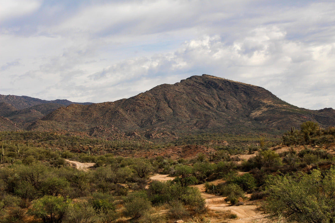 Noah Jigsaw Puzzle Wash and Mountain view in the Tonto National Forest 2000 pieces
