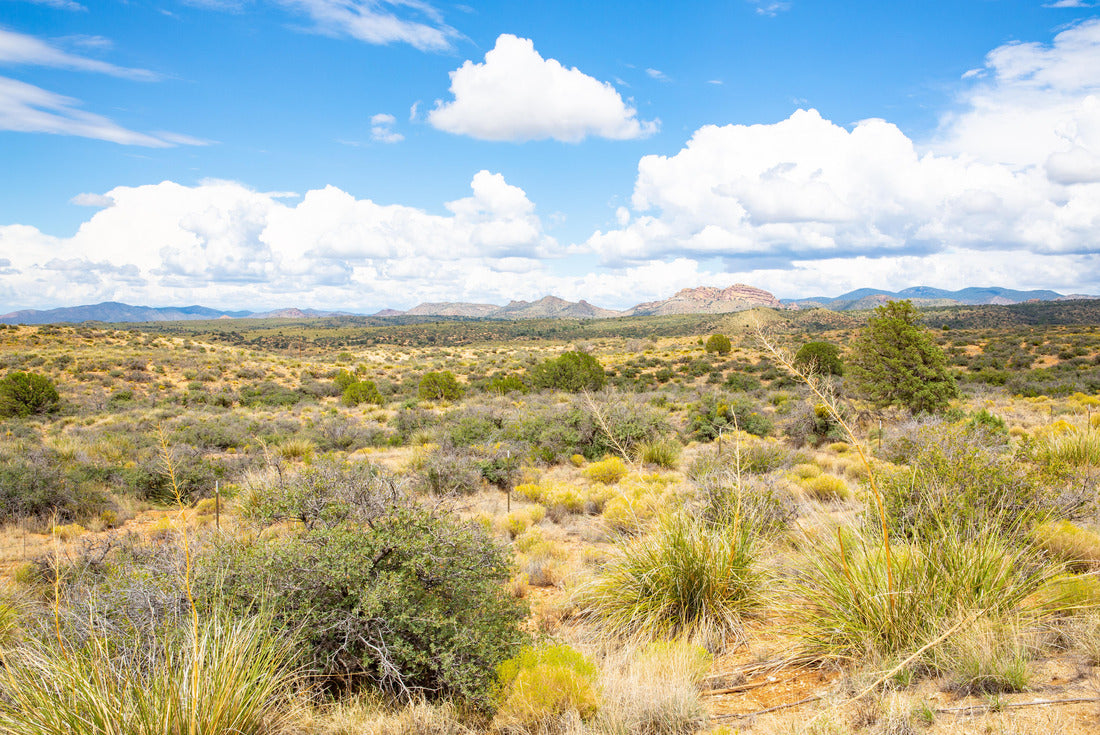 Scenic landscape in Hidalgo County, New Mexico, USA 2000pc Puzzle
