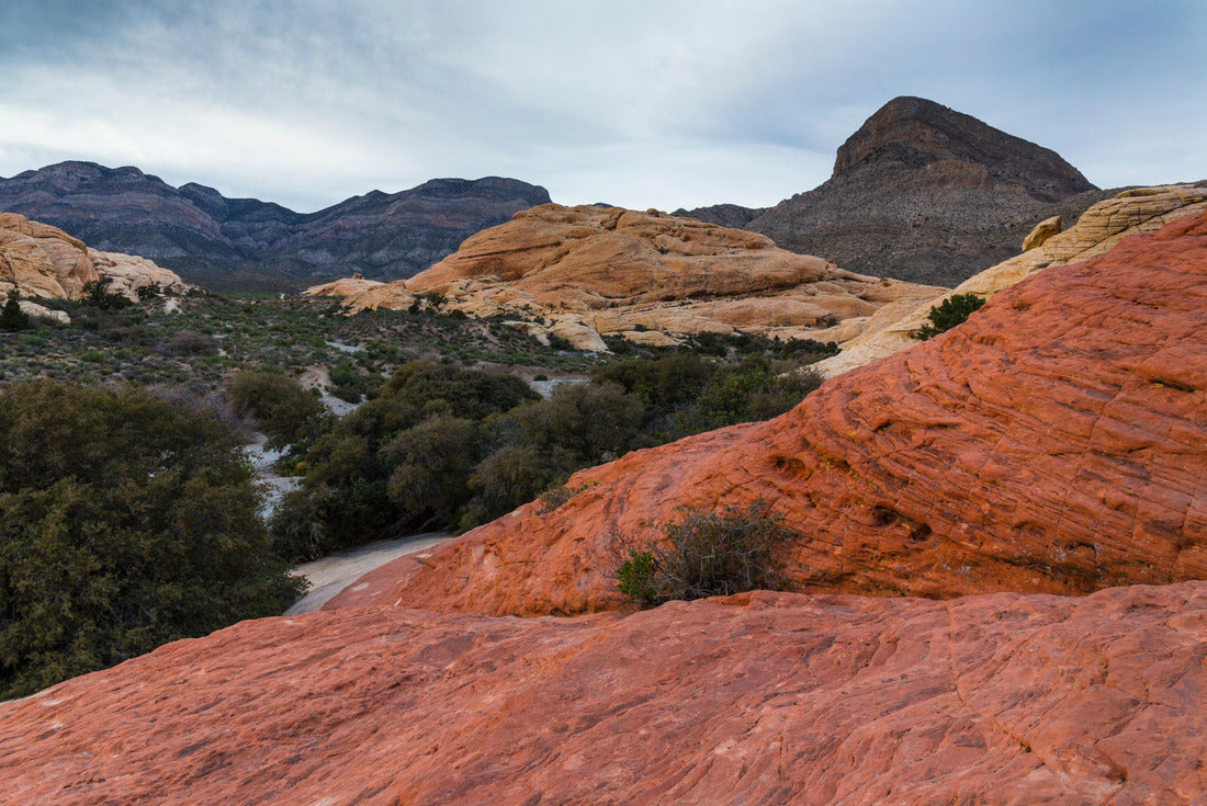 Noah Jigsaw Puzzle Red Rock Canyon, Clark County, Nevada, USA, America 2000 pieces