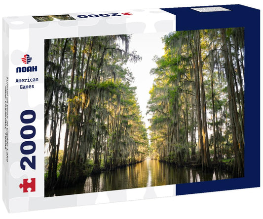 Noah Jigsaw Puzzle Tunnel of trees at Caddo Lake near Uncertain, Texas 2000 pieces