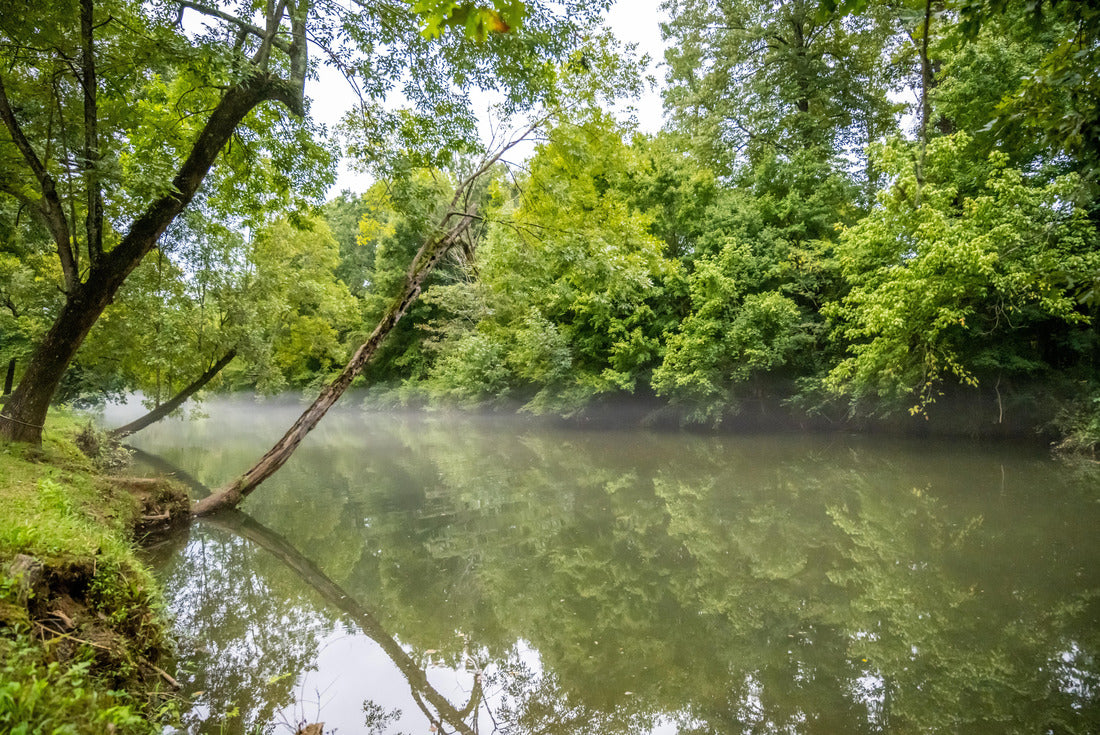 Noah Jigsaw Puzzle An overlooking landscape view in Talladega, Alabama 2000 pieces