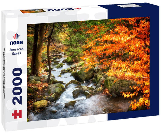 Noah Jigsaw Puzzle Burr Pond State Park autumn landscape, Connecticut 2000 pieces