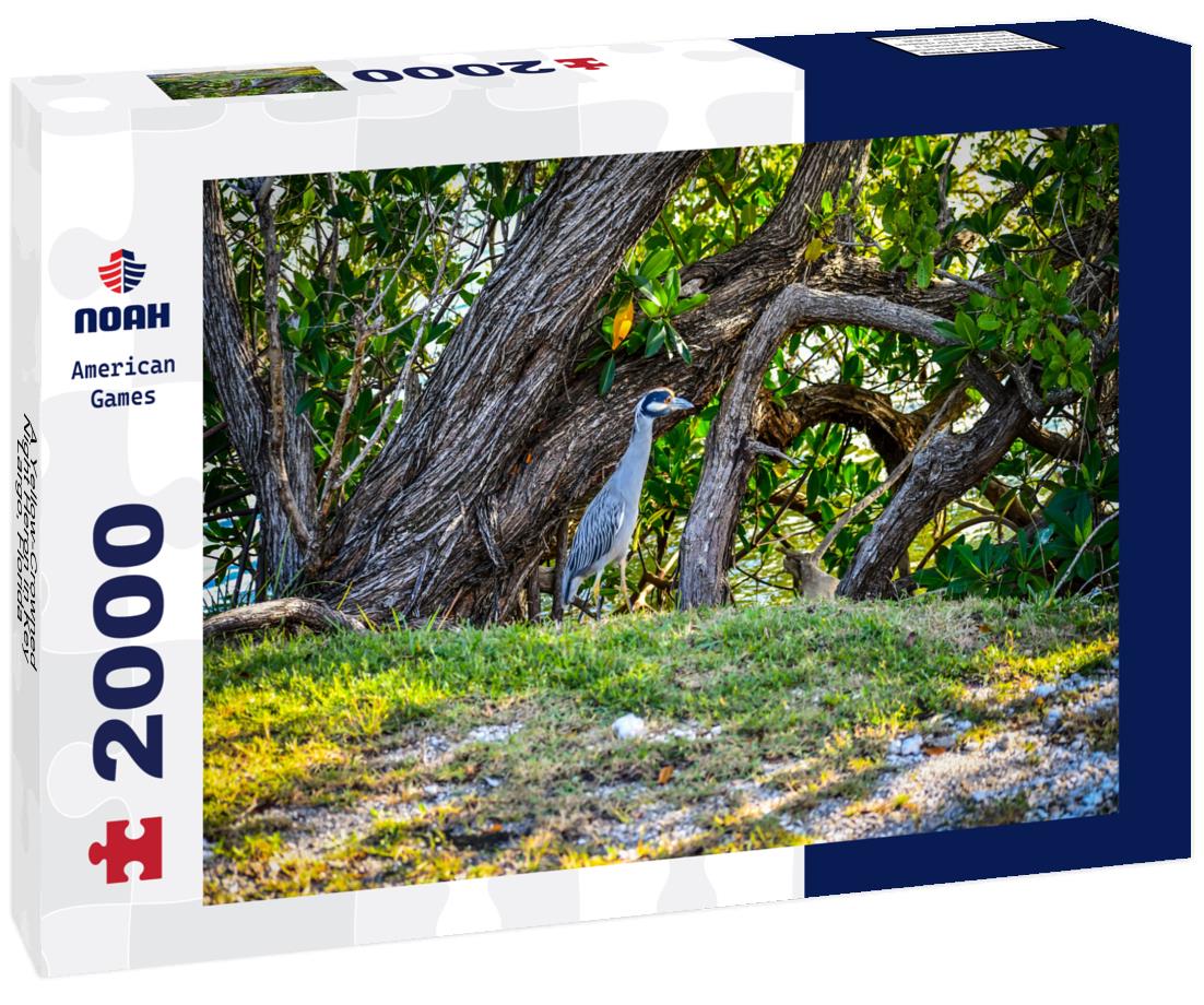 Noah Jigsaw Puzzle A Yellow-Crowned Night Heron in Key Largo, Florida 2000 pieces