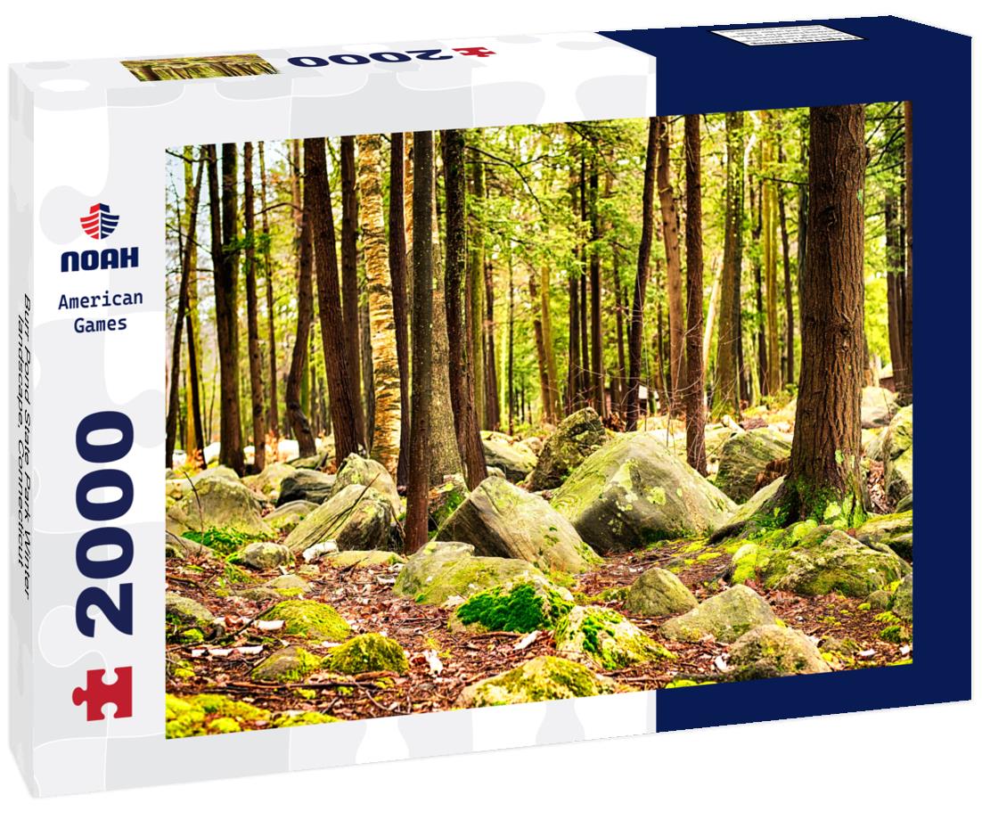 Noah Jigsaw Puzzle Burr Pond State Park Winter landscape, Connecticut 2000 pieces