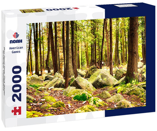 Noah Jigsaw Puzzle Burr Pond State Park Winter landscape, Connecticut 2000 pieces