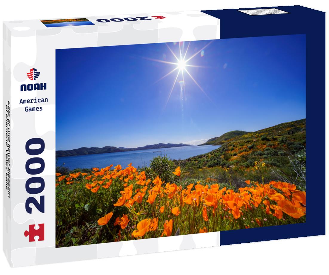Noah Jigsaw Puzzle Lots of wild flower blossom at Diamond Valley Lake 2000 pieces