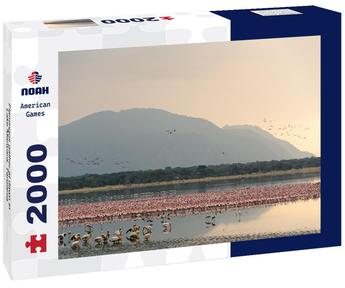 Flamingos gather at dawn in Lake Manyara, Tanzania 2000pc Puzzle