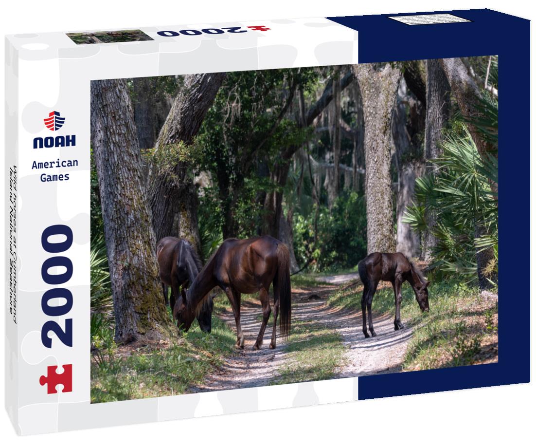 Noah Jigsaw Puzzle Wild horses at Cumberland Island National Seashore 2000 pieces