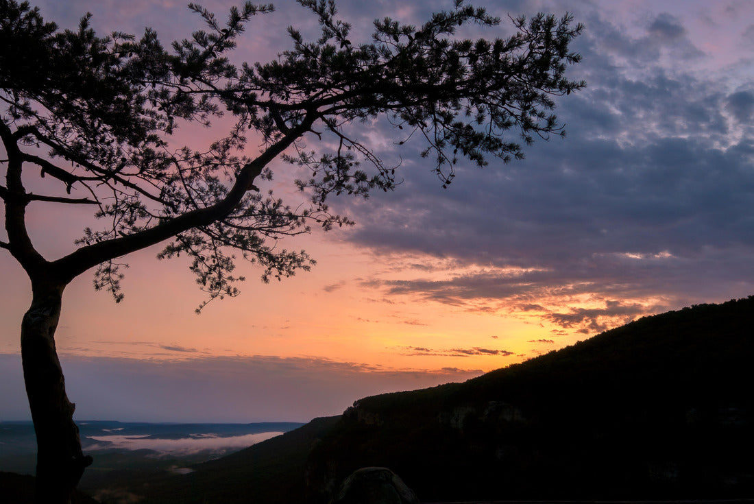 Noah Jigsaw Puzzle Sunrise, Cloudland Canyon State Park, Georgia, USA 2000 pieces
