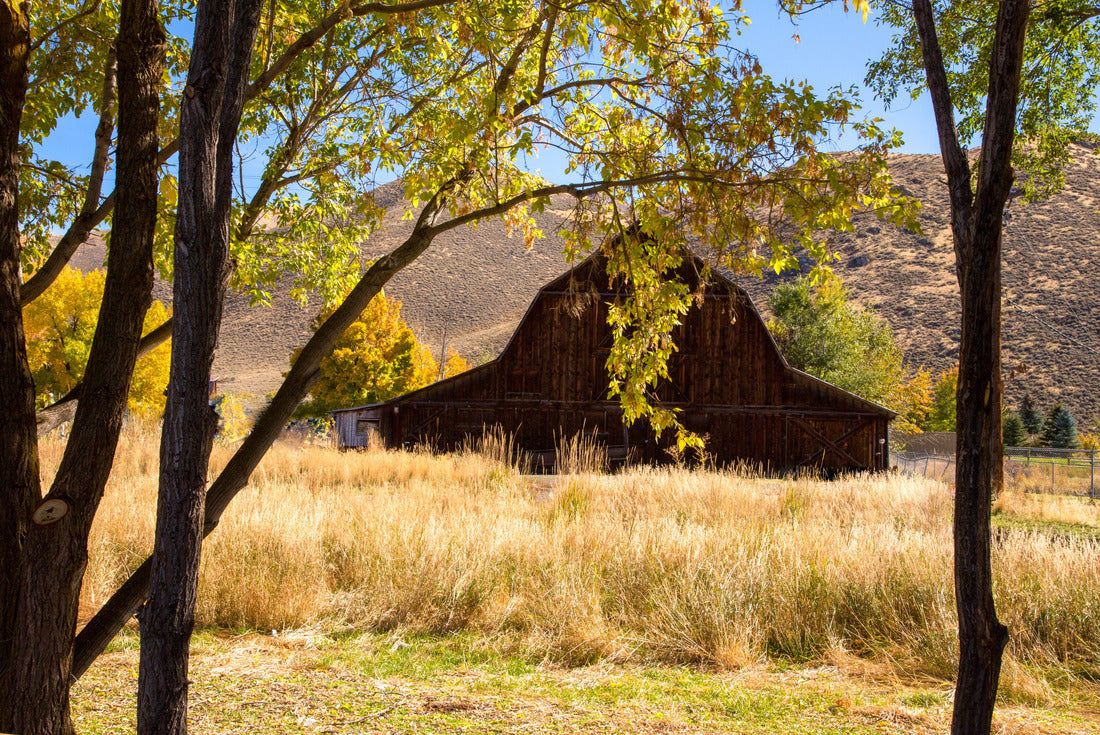 A vintage barn in the fall season at Hailey, Idaho 2000pc Puzzle