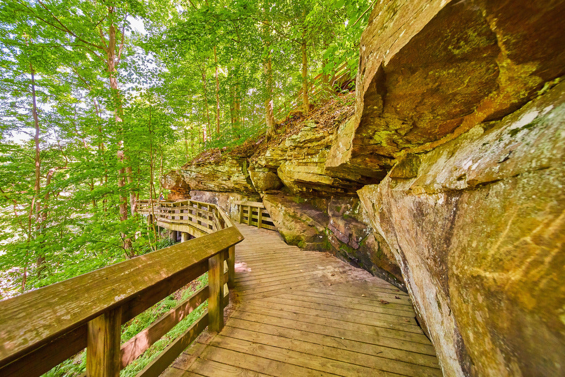 Wood Trails in Cuyahoga Valley National Park, Ohio 2000pc Puzzle
