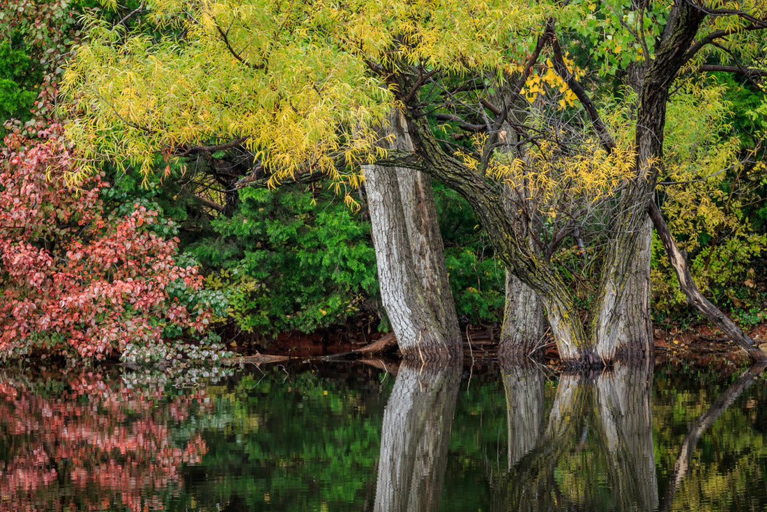 A small hidden pond in fall color in Oklahoma City 2000pc Puzzle