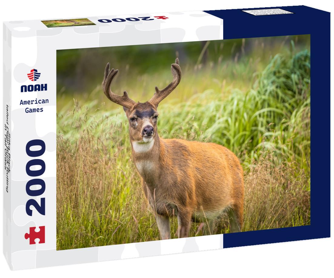 Noah Jigsaw Puzzle Sitka Black-tailed Deer Buck Rutting in Tall Grass 2000 pieces