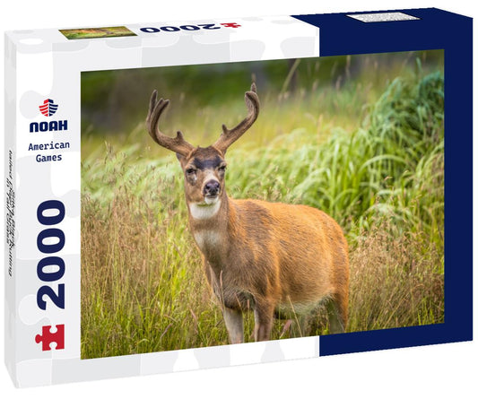 Noah Jigsaw Puzzle Sitka Black-tailed Deer Buck Rutting in Tall Grass 2000 pieces