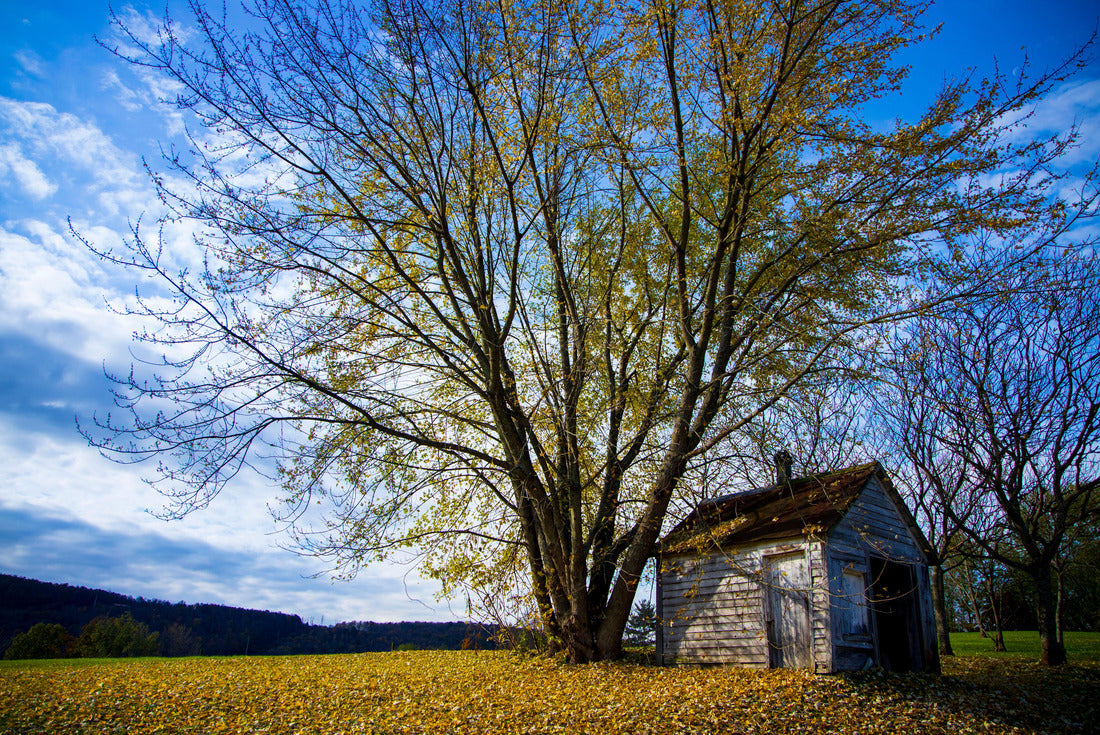 Noah Jigsaw Puzzle Old Tool Shed in Autumn. Chenango County, New York 2000 pieces