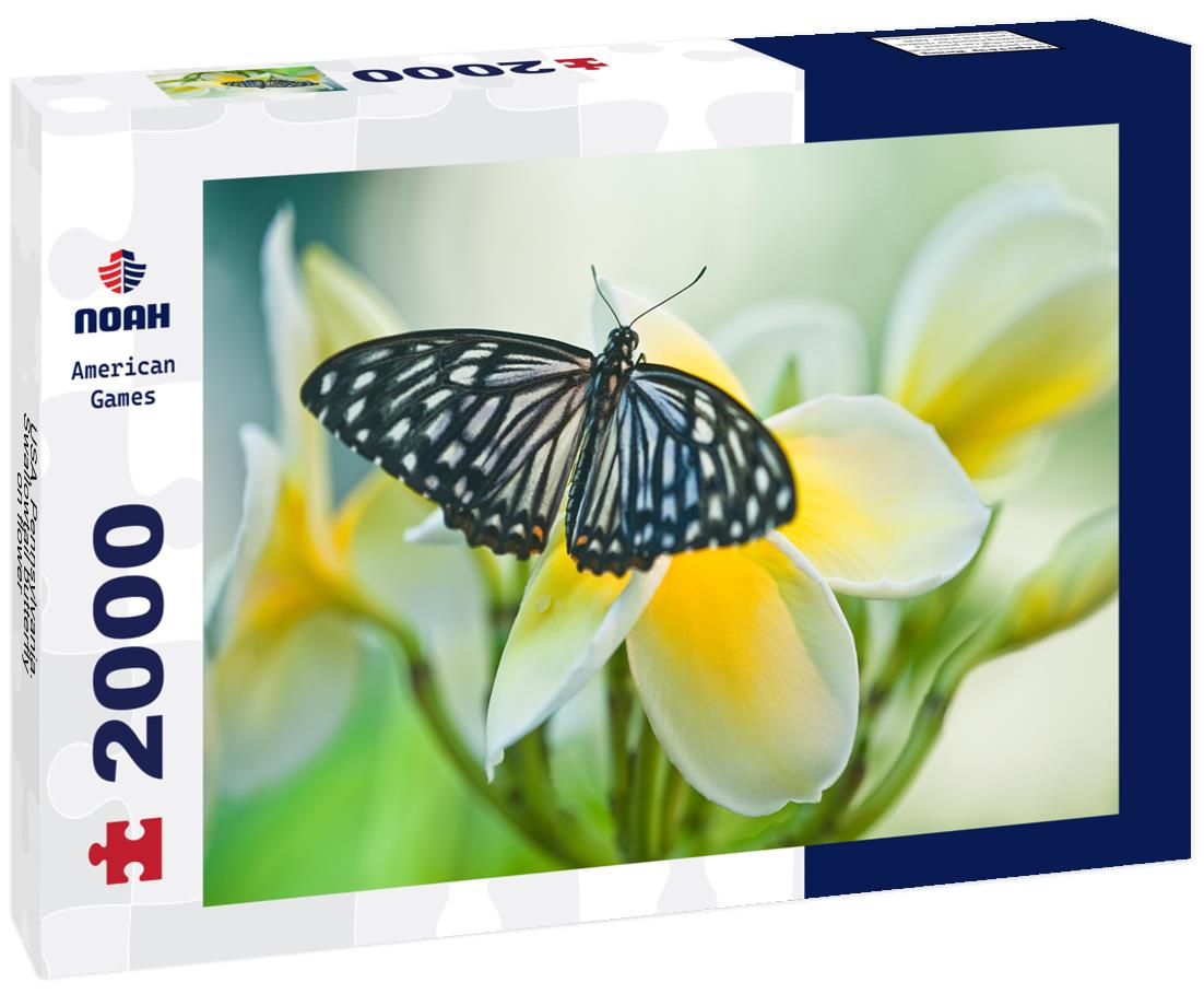 Noah Jigsaw Puzzle USA, Pennsylvania. Swallowtail butterfly on flower 2000 pieces