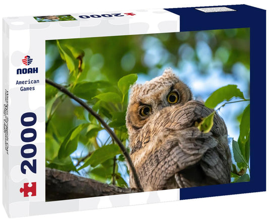 Noah Jigsaw Puzzle Western Screech Owl near Mount Pleasant City, Utah 2000 pieces
