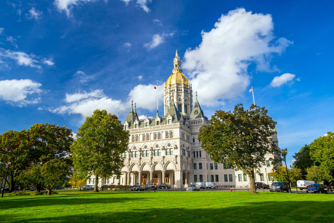 Noah Jigsaw Puzzle Connecticut State Capitol in Hartford, Connecticut 2000 pieces