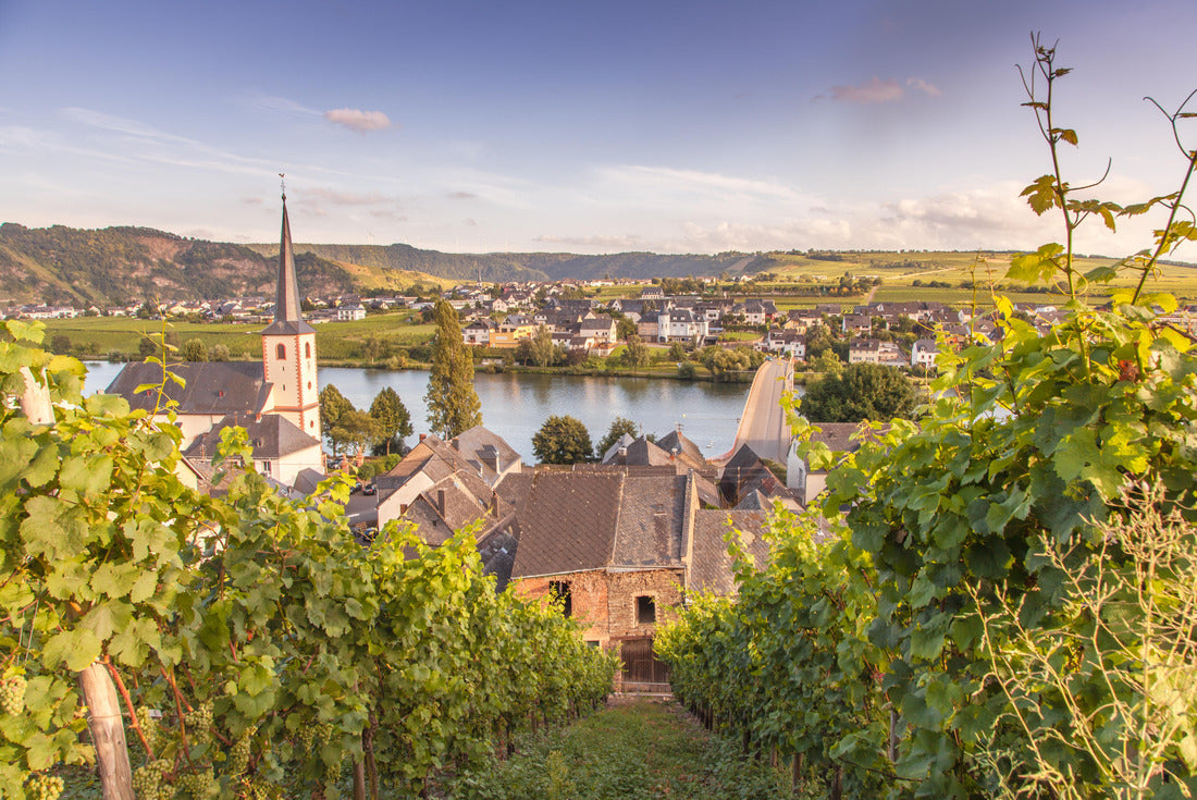 Moselle and vineyards in Germany Piesport 2000pc Puzzle