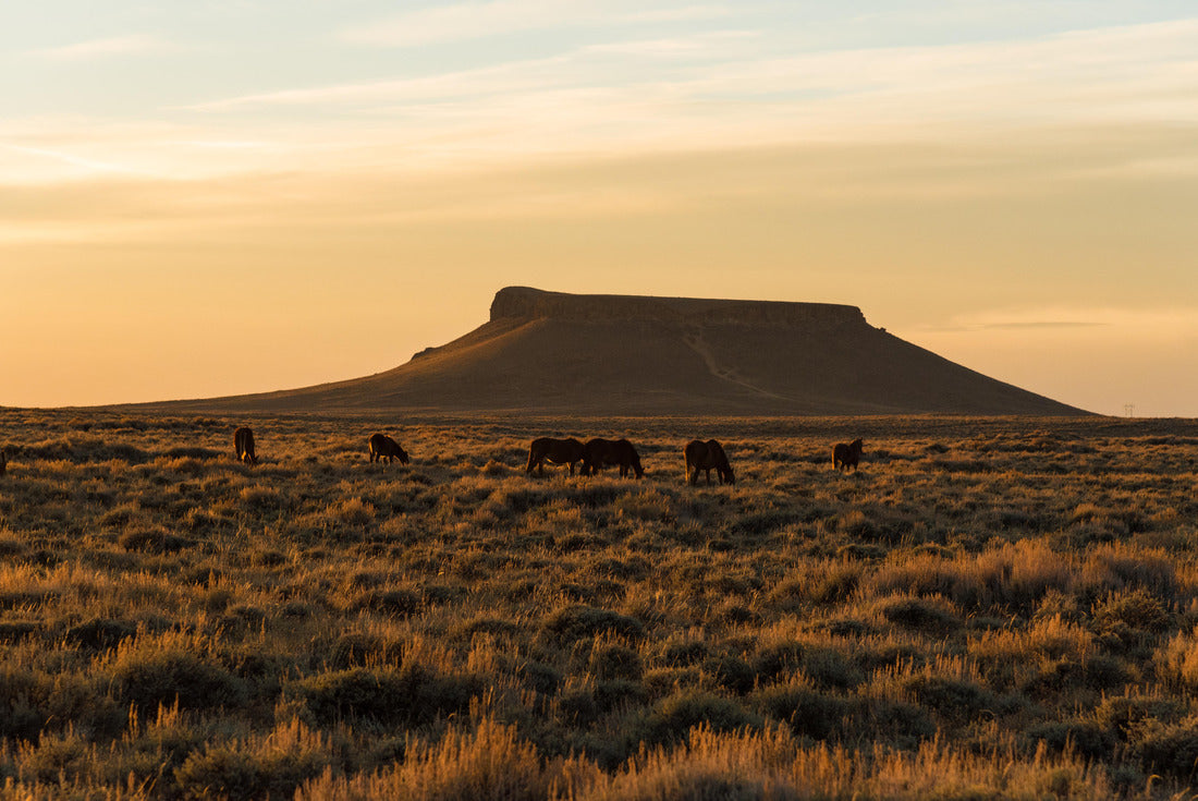 Noah Jigsaw Puzzle Wild Horse Scenic Loop near Rock Springs, Wyoming 2000 pieces