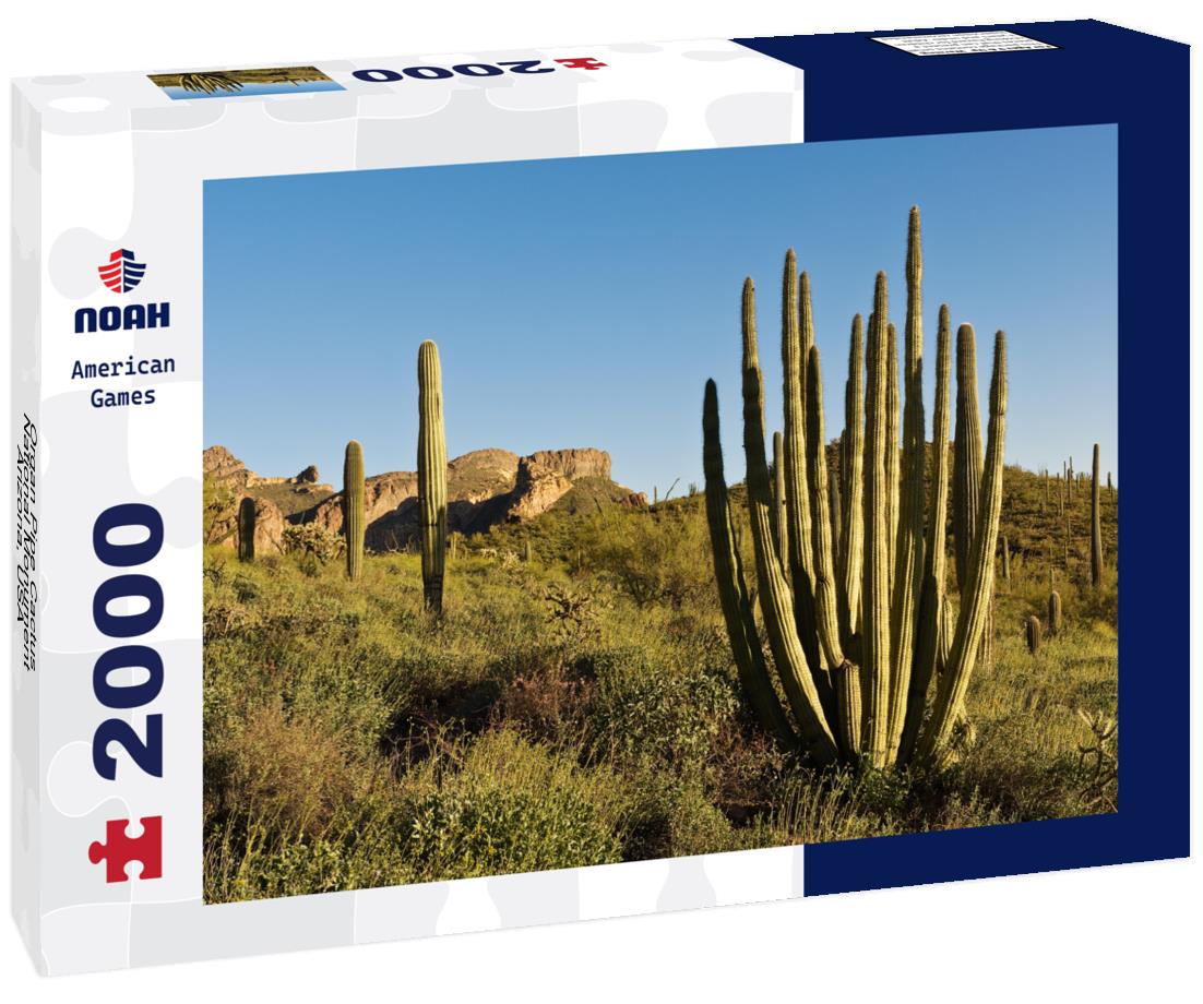 Noah Jigsaw Puzzle Organ Pipe Cactus National Monument, Arizona, USA 2000 pieces