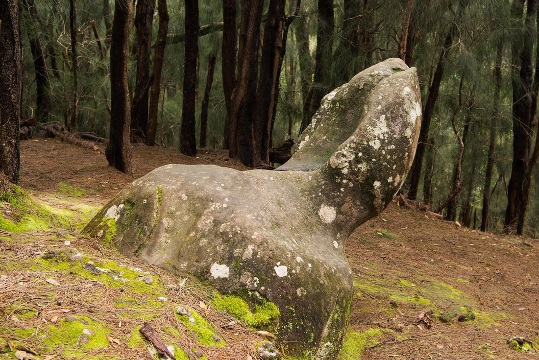 Noah Jigsaw Puzzle Phallic Rock in Pala'au State Park Molokai Hawaii 2000 pieces
