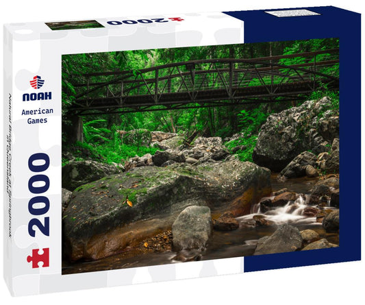 Noah Jigsaw Puzzle Natural Bridge Creek at Springbrook in Queensland 2000 pieces