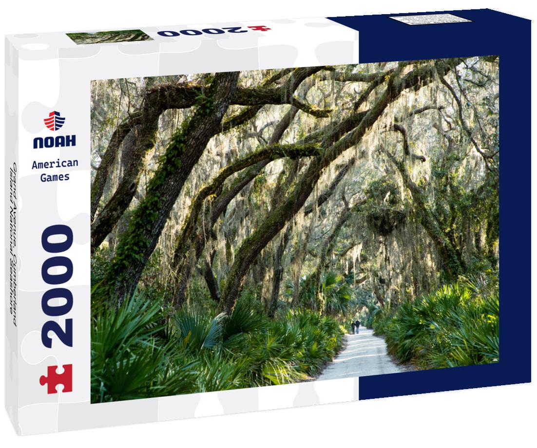 Noah Jigsaw Puzzle Grand Avenue, Cumberland Island National Seashore 2000 pieces