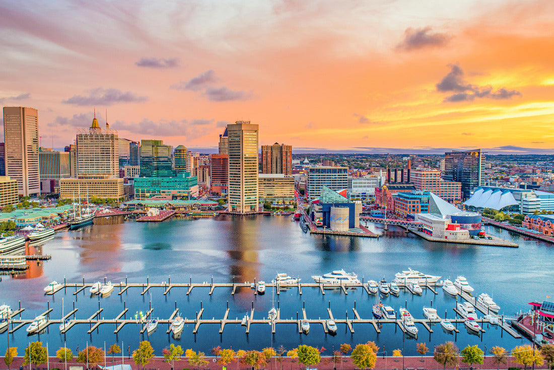 Baltimore Maryland MD Inner Harbor Skyline Aerial 2000pc Puzzle