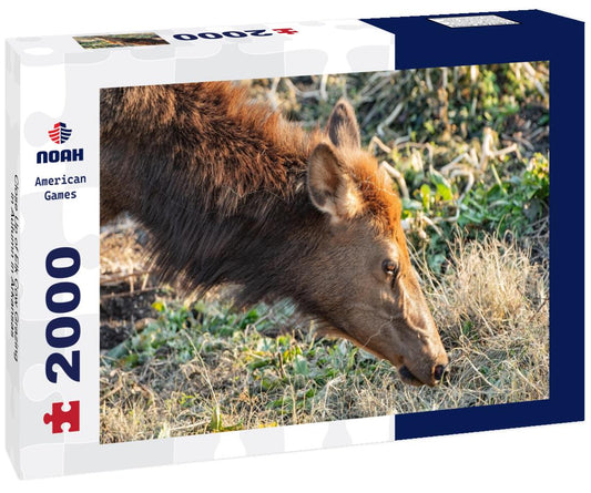 Noah Jigsaw Puzzle Close Up of Elk Cow Grazing in Autumn in Arkansas 2000 pieces