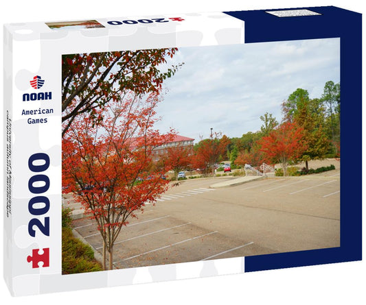 Noah Jigsaw Puzzle University of Mississippi campus autumn landscape 2000 pieces