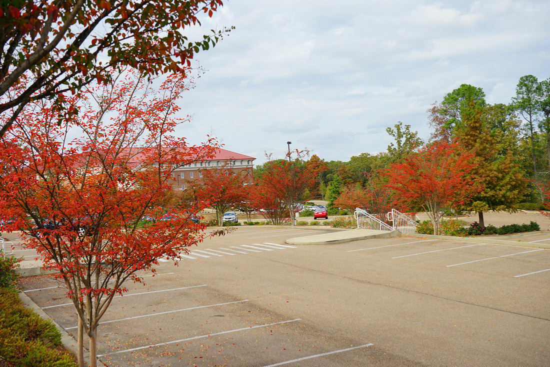 University of Mississippi campus autumn landscape 2000pc Puzzle