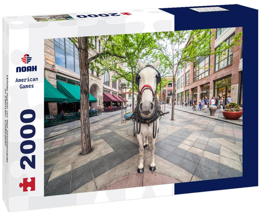 Noah Jigsaw Puzzle White horse on the promenade in Denver, Colorado 2000 pieces