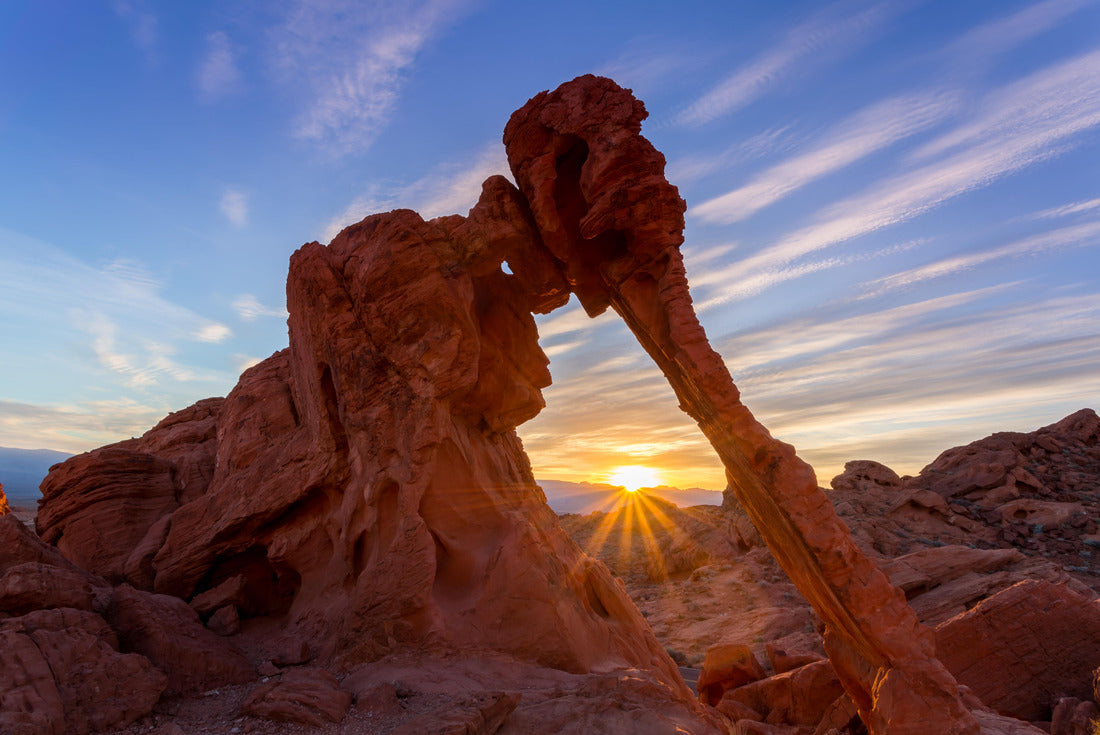 Elephant Rock, Valley of Fire State Park, Nevada 2000pc Puzzle