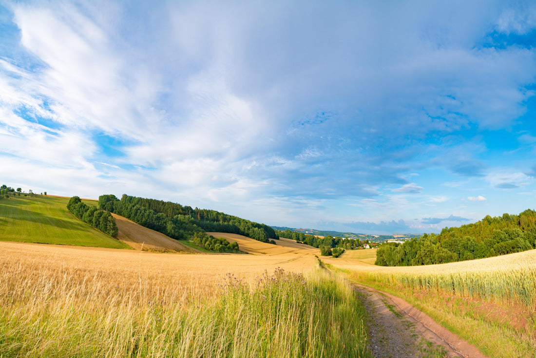 Noah Jigsaw Puzzle Panorama of wheat field in the morning in Kansas 2000 pieces