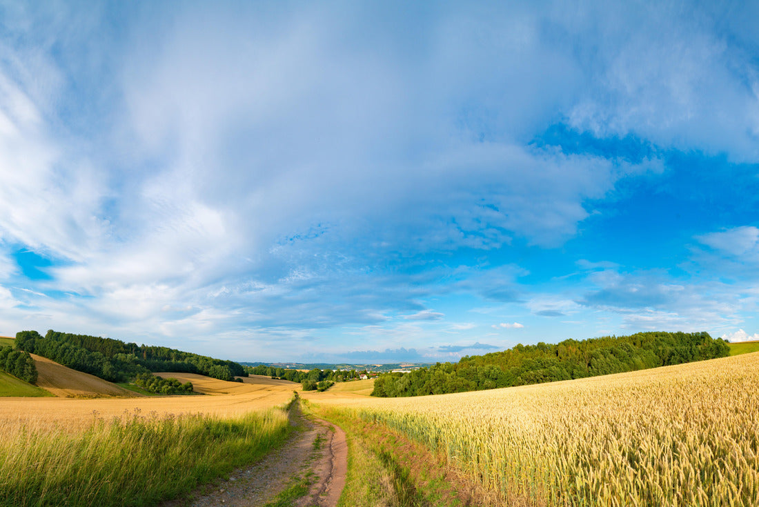 Noah Jigsaw Puzzle Panorama of wheat field in the morning in Kansas 2000 pieces