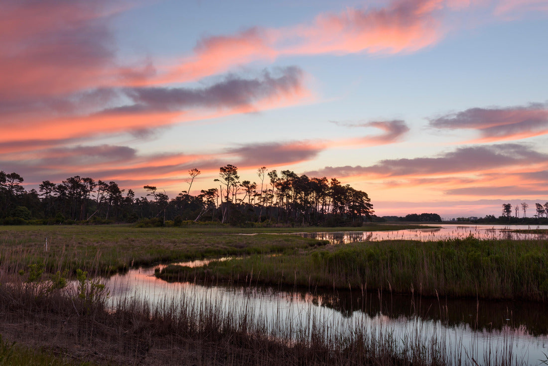Noah Jigsaw Puzzle Coastal Wetlands of Virginia - Assateague Island 2000 pieces