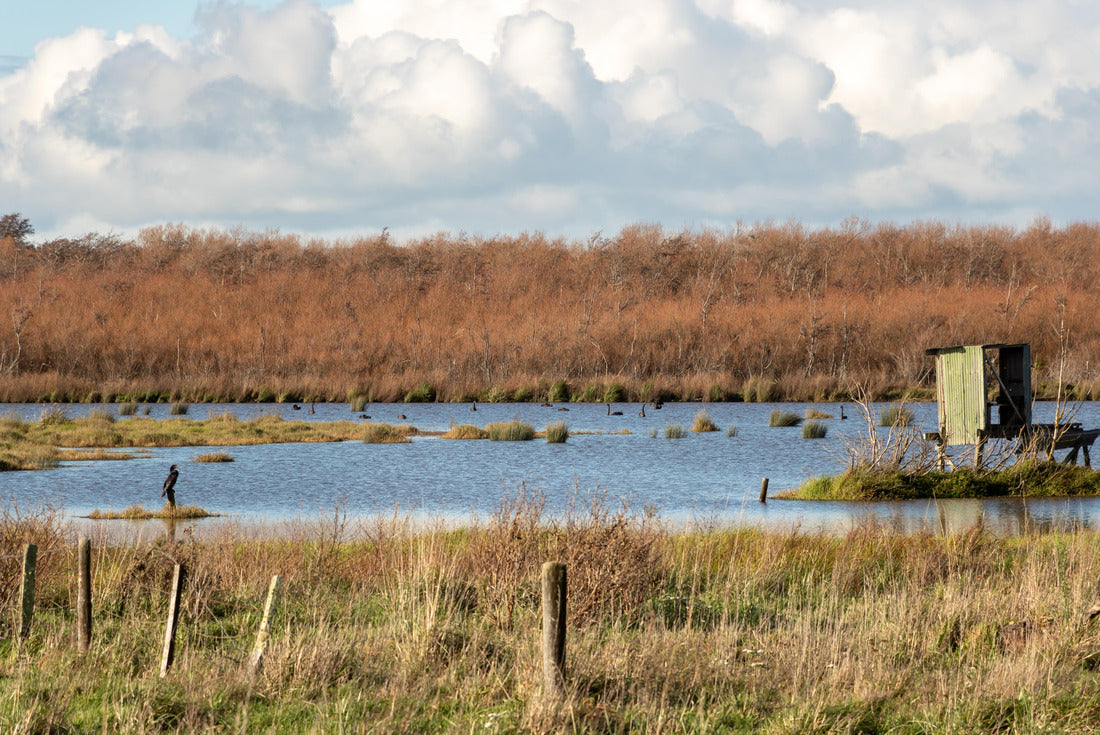 Duck Hunting Blind In New Zealand Lake Wairarapa 2000pc Puzzle