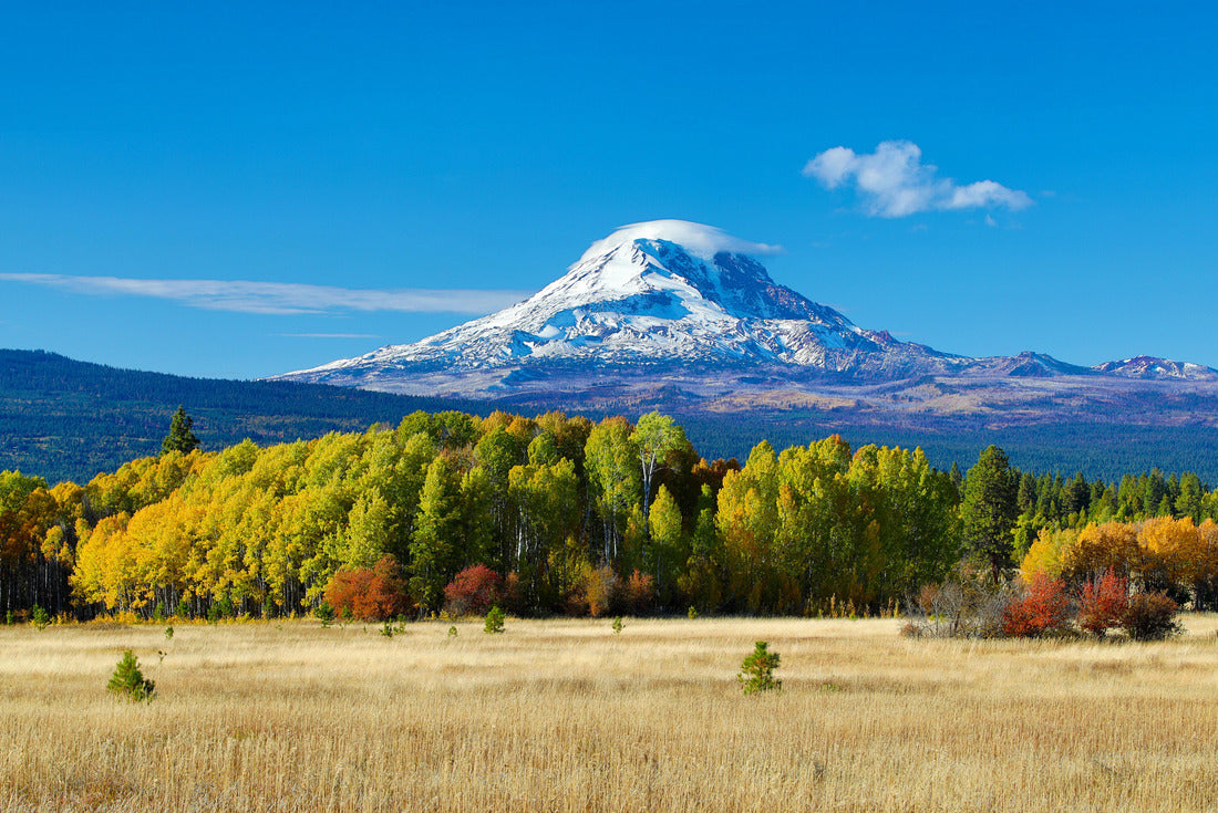 Mt Adams and aspen trees in the fall, Washington 2000pc Puzzle