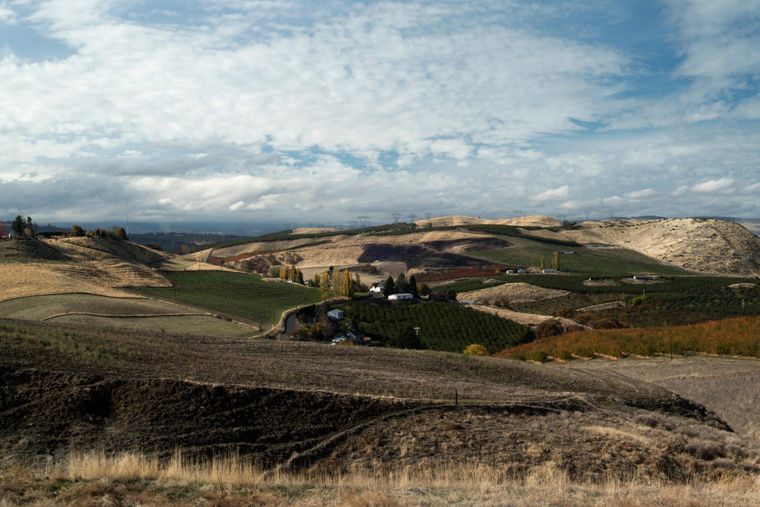 Rolling Fields and Hills Near The Dalles, Oregon 2000pc Puzzle