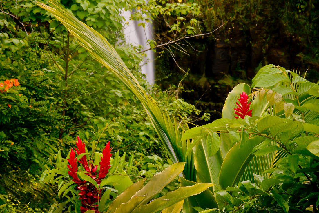 Noah Jigsaw Puzzle Lovely Rainbow Falls on the Big Island of Hawaii 2000 pieces