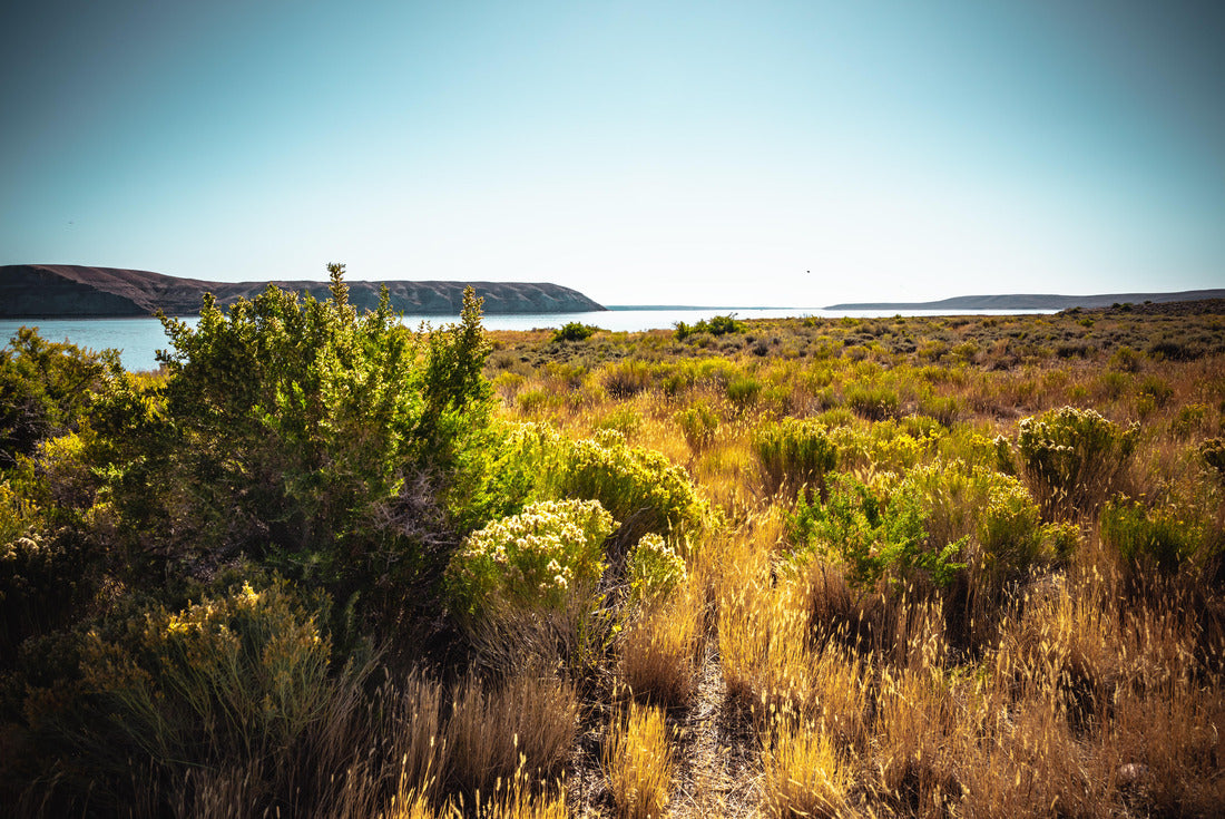 Noah Jigsaw Puzzle Meadow at the shores of the Green River, Wyoming 2000 pieces