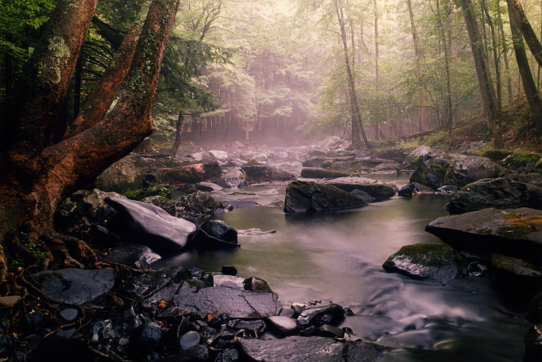 Noah Jigsaw Puzzle Along the Red Path, Bushkill Falls, Pennsylvania 2000 pieces