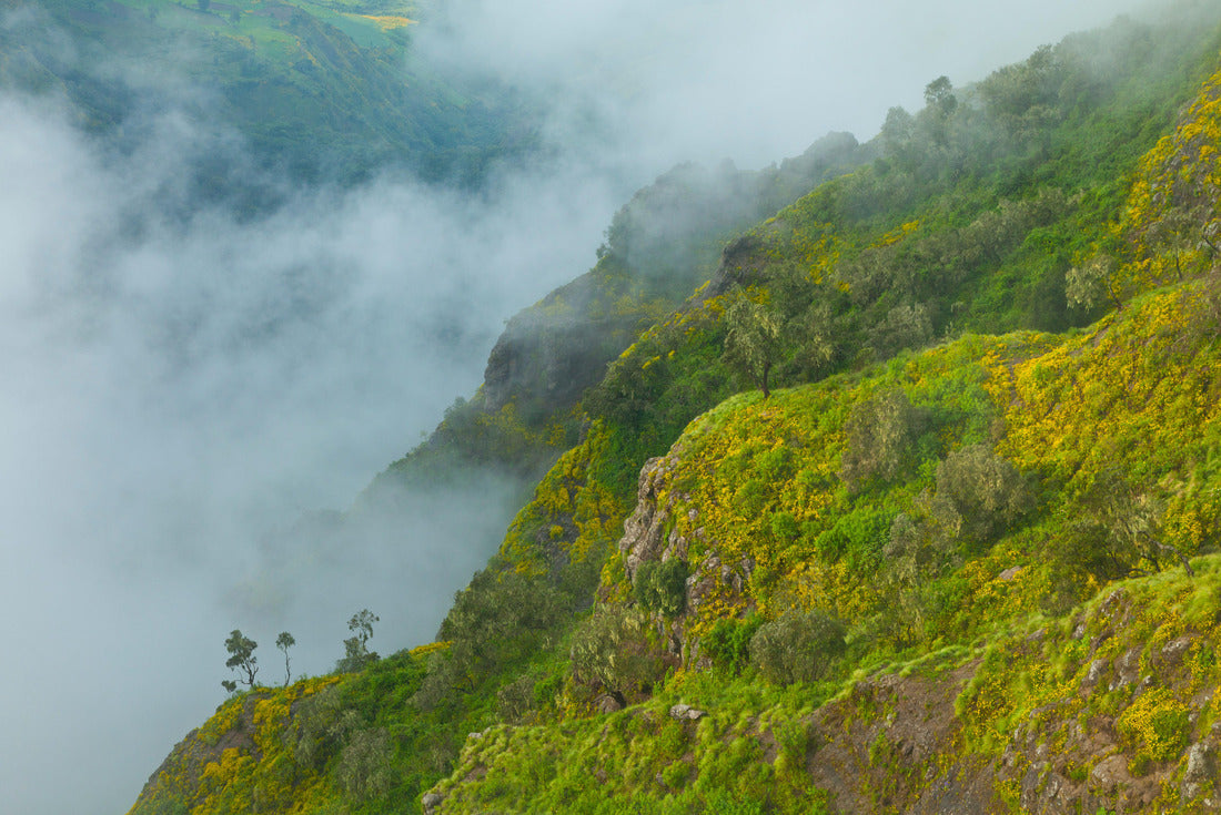 Noah Jigsaw Puzzle Parque Nacional Montañas Simien, Etiopia, Africa 2000 pieces