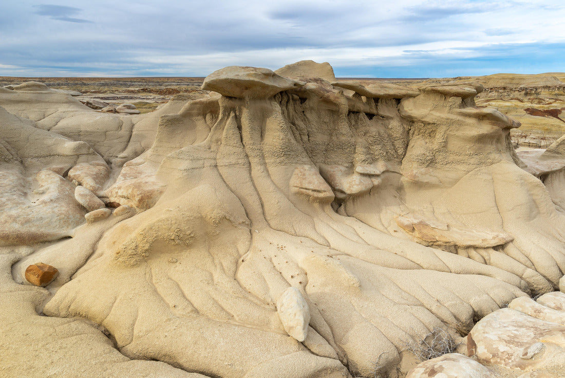 Noah Jigsaw Puzzle Bisti/De-Na-Zin Wilderness Area, New Mexico, USA 2000 pieces