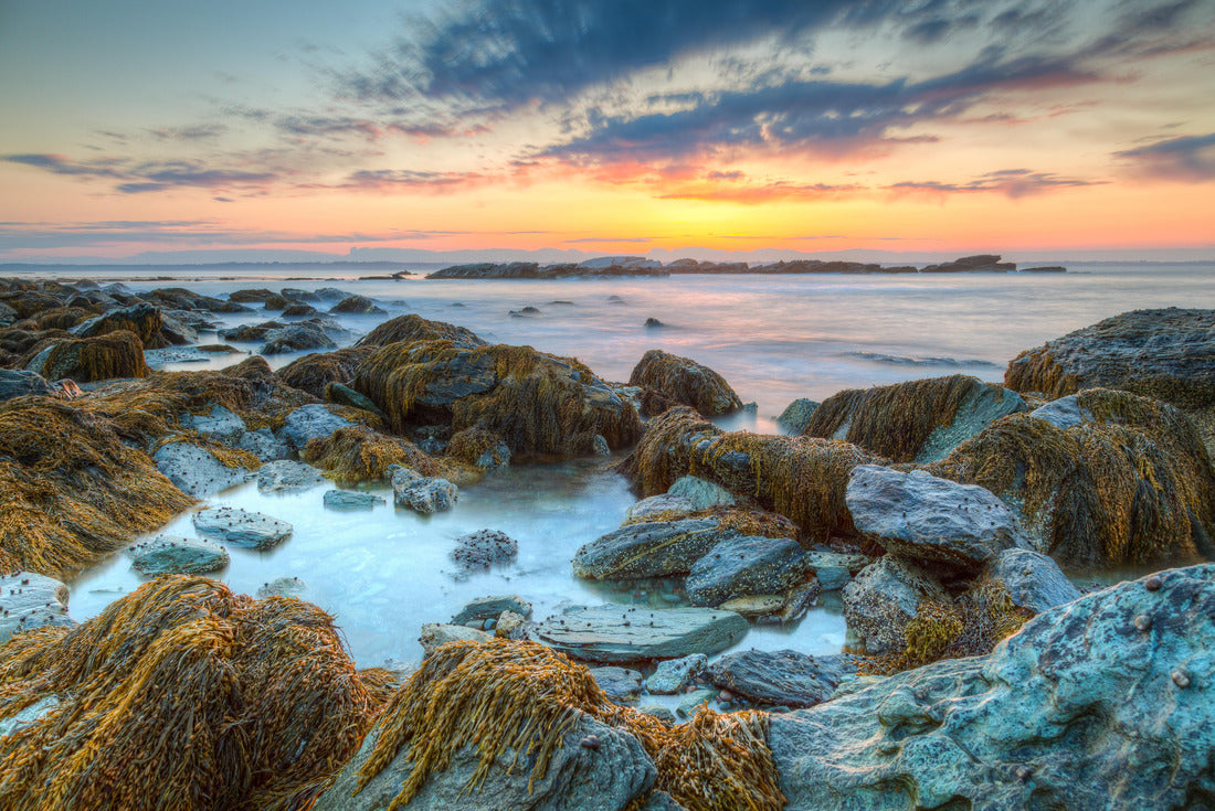 Noah Jigsaw Puzzle Sunrise at Sachuest Wildlife Refuge Rhode Island 2000 pieces