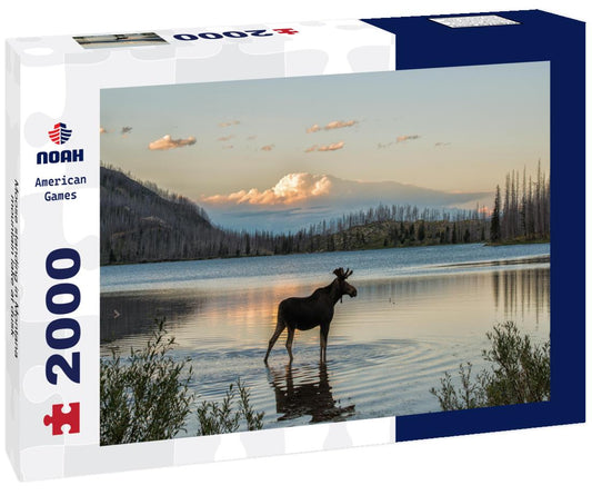 Noah Jigsaw Puzzle Moose standing in Montana mountain lake at dusk 2000 pieces