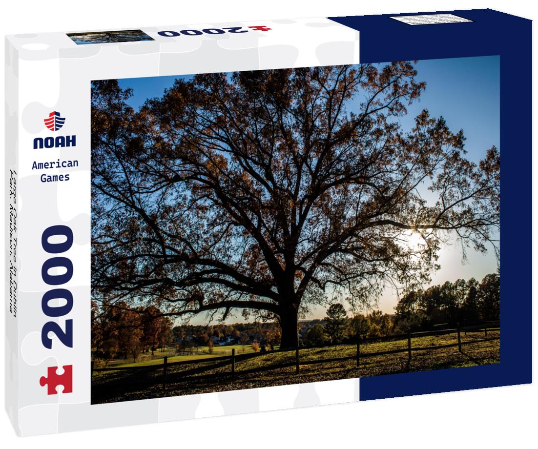 Noah Jigsaw Puzzle Large Oak Tree in Dublin Park. Madison, Alabama 2000 pieces