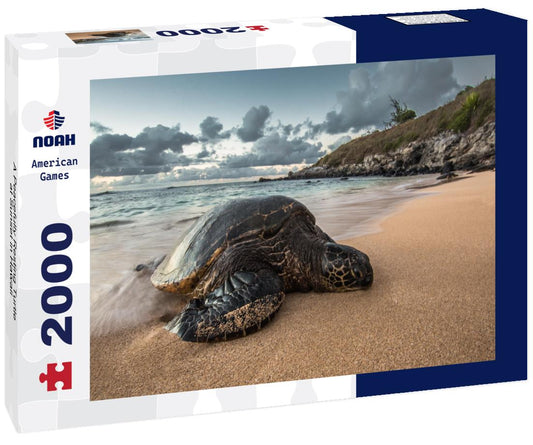 Noah Jigsaw Puzzle A Peacefully Resting Turtle at Sunset in Hawaii 2000 pieces